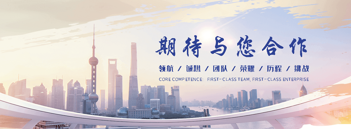 盘锦海狮租赁公司